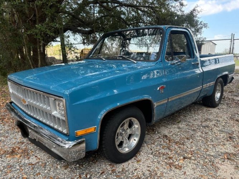 1981 Chevrolet C10 for sale in Michigan (ID-138959)
