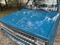 1981 Chevrolet C10 for sale in Michigan (ID-138959)
