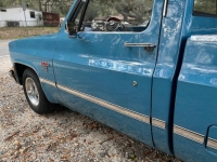 1981 Chevrolet C10 for sale in Michigan (ID-138959)