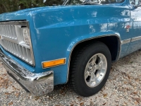 1981 Chevrolet C10 for sale in Michigan (ID-138959)