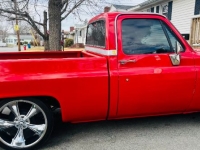 1981 Chevrolet C10 for sale in Michigan (ID-140305)