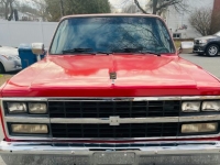 1981 Chevrolet C10 for sale in Michigan (ID-140305)