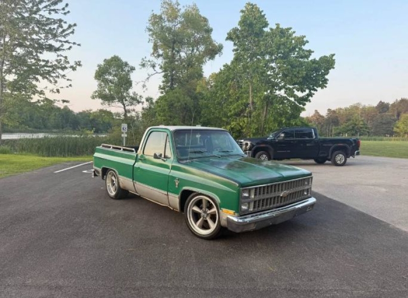 1981 Chevrolet C10 for sale in Michigan (ID-143672)