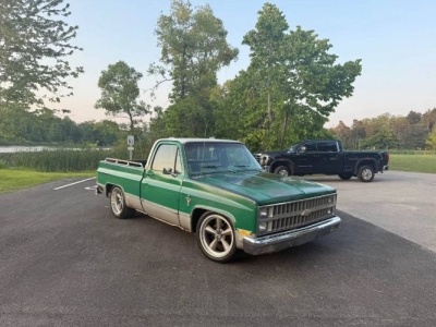 1981 Chevrolet C10 for sale