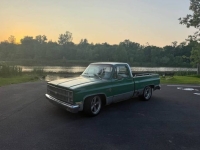 1981 Chevrolet C10 for sale in Michigan (ID-143672)