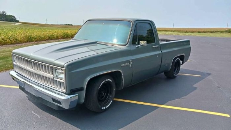 1981 Chevrolet C10 for sale in Michigan (ID-143797)