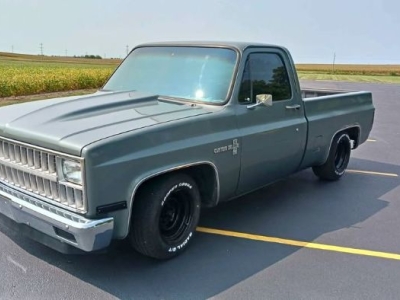 1981 Chevrolet C10 for sale