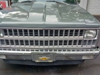 1981 Chevrolet C10 for sale in Michigan (ID-143797)