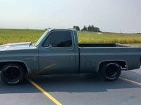1981 Chevrolet C10 for sale in Michigan (ID-143797)