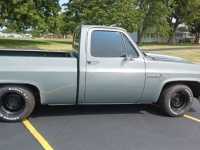1981 Chevrolet C10 for sale in Michigan (ID-143797)
