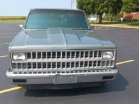 1981 Chevrolet C10 for sale in Michigan (ID-143797)
