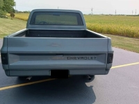 1981 Chevrolet C10 for sale in Michigan (ID-143797)