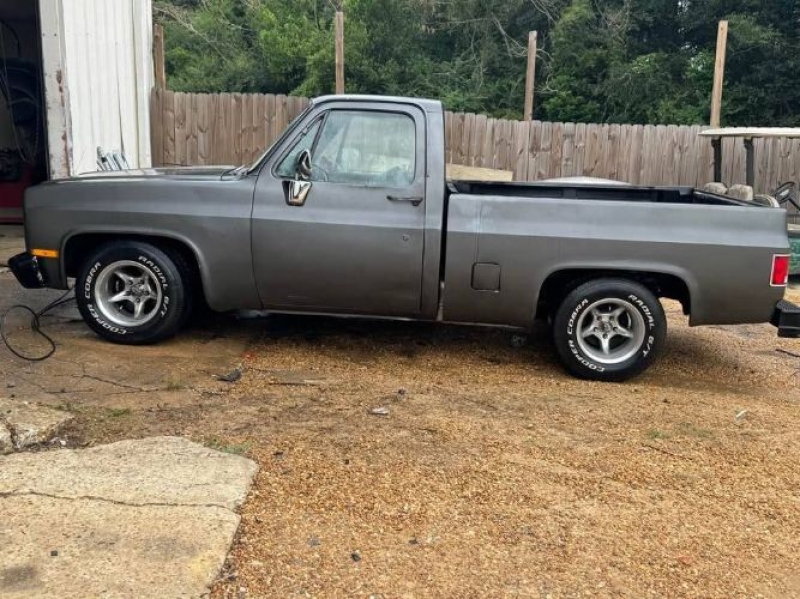 1981 Chevrolet C10 for sale in Michigan (ID-145839)