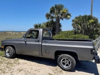 1981 Chevrolet C10 for sale in Michigan (ID-145839)