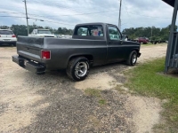 1981 Chevrolet C10 for sale in Michigan (ID-145839)