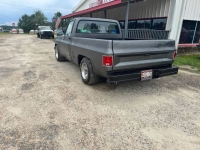 1981 Chevrolet C10 for sale in Michigan (ID-145839)