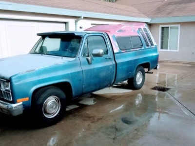 1981 Chevrolet C10 for sale