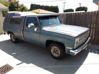 1981 Chevrolet C10 for sale in Michigan (ID-156260)