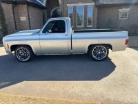 1981 Chevrolet C10 for sale in Michigan (ID-161124)