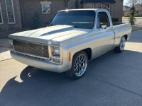 1981 Chevrolet C10 for sale in Michigan (ID-161124)