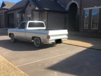 1981 Chevrolet C10 for sale in Michigan (ID-161124)