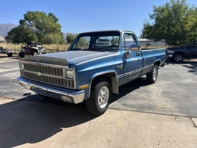 1981 Chevrolet C20 for sale