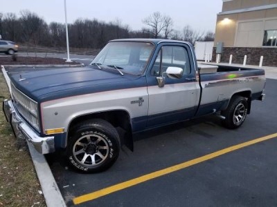 1981 Chevrolet C20 for sale