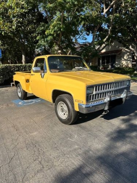 1981 Chevrolet C20 for sale in Michigan (ID-161094)