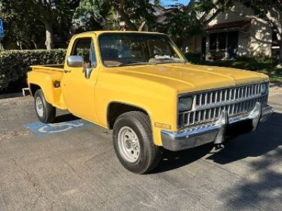 1981 Chevrolet C20 for sale in Michigan