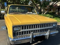 1981 Chevrolet C20 for sale in Michigan (ID-161094)