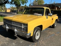 1981 Chevrolet C20 for sale in Michigan (ID-161094)