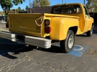 1981 Chevrolet C20 for sale in Michigan (ID-161094)