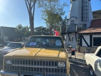 1981 Chevrolet C20 for sale in Michigan (ID-161094)