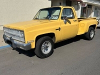 1981 Chevrolet C20 for sale in Michigan (ID-161094)