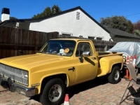 1981 Chevrolet C20 for sale in Michigan (ID-161094)