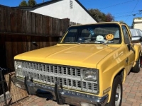 1981 Chevrolet C20 for sale in Michigan (ID-161094)