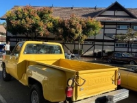 1981 Chevrolet C20 for sale in Michigan (ID-161094)
