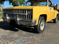 1981 Chevrolet C20 for sale in Michigan (ID-161094)