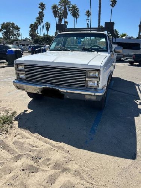 1981 Chevrolet C20 for sale in Michigan (ID-161095)