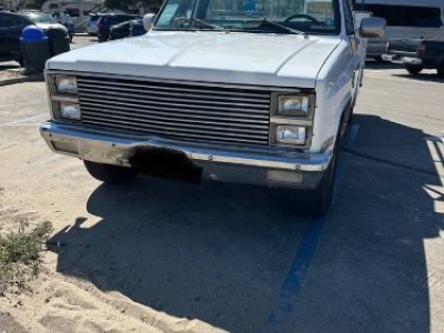 1981 Chevrolet C20 for sale in Michigan