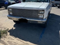 1981 Chevrolet C20 for sale in Michigan (ID-161095)