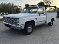 1981 Chevrolet C20 for sale in Michigan (ID-161095)