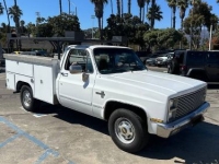 1981 Chevrolet C20 for sale in Michigan (ID-161095)