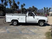 1981 Chevrolet C20 for sale in Michigan (ID-161095)