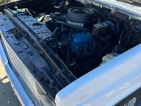 1981 Chevrolet C20 for sale in Michigan (ID-161095)