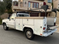 1981 Chevrolet C20 for sale in Michigan (ID-161095)