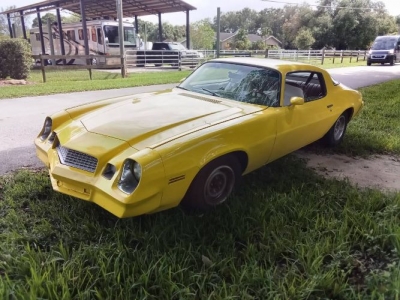 1981 Chevrolet Cabriolet for sale