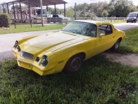 1981 Chevrolet Cabriolet for sale in Michigan (ID-111929)