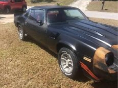 1981 Chevrolet Camaro for sale