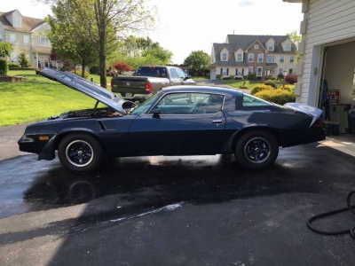 1981 Chevrolet Camaro for sale